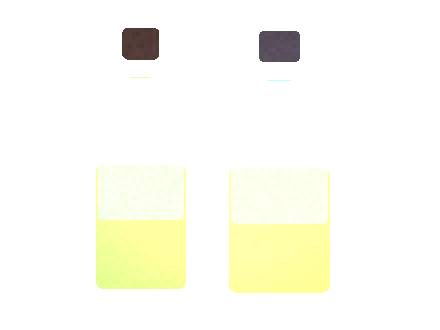 Air Bar Click X: Flavor Portfolio for Distributors