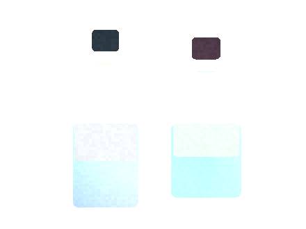 Air Bar Nex Plus: Flavor Portfolio for Distributors